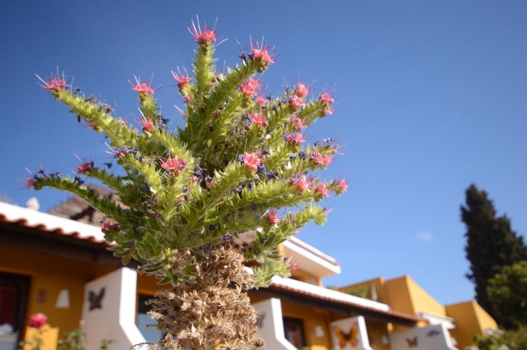 Hotel Alta Montana Vilaflor Εξωτερικό φωτογραφία