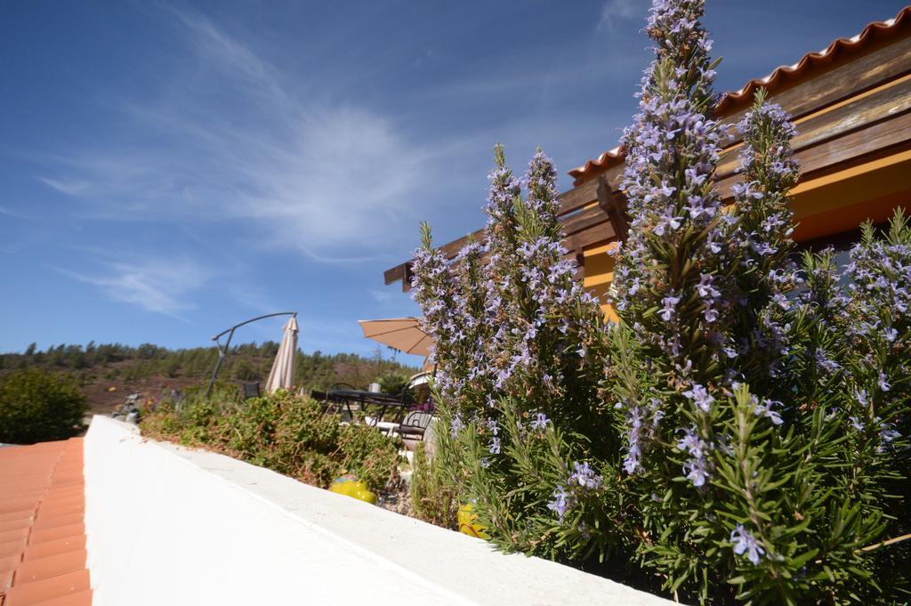 Hotel Alta Montana Vilaflor Εξωτερικό φωτογραφία